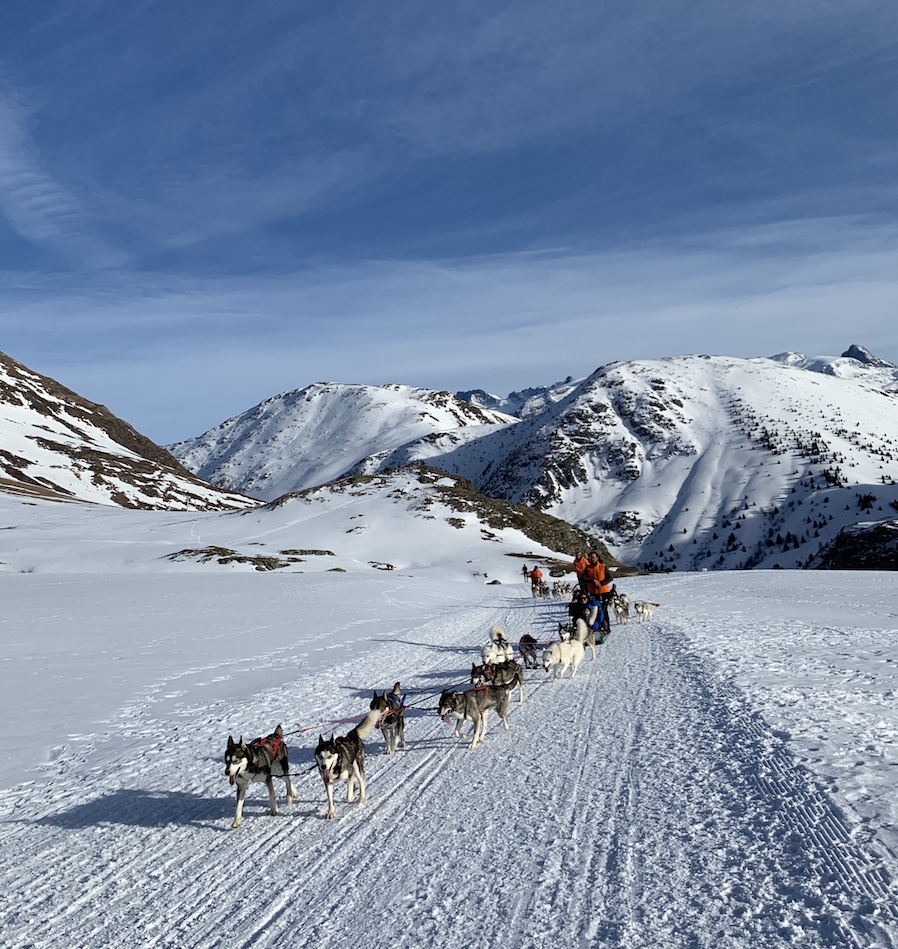 traineaux chiens Alpe d'Huez