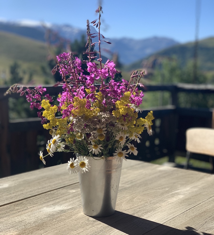 bouquet fleurs lupins