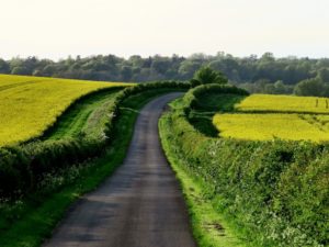 Les Cotswolds, so British