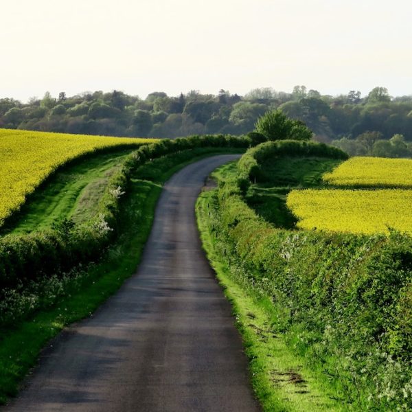 Les Cotswolds, so British