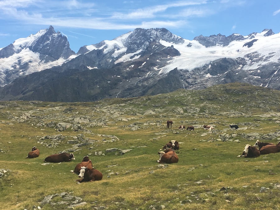 plateau Emparis Oisans hiking