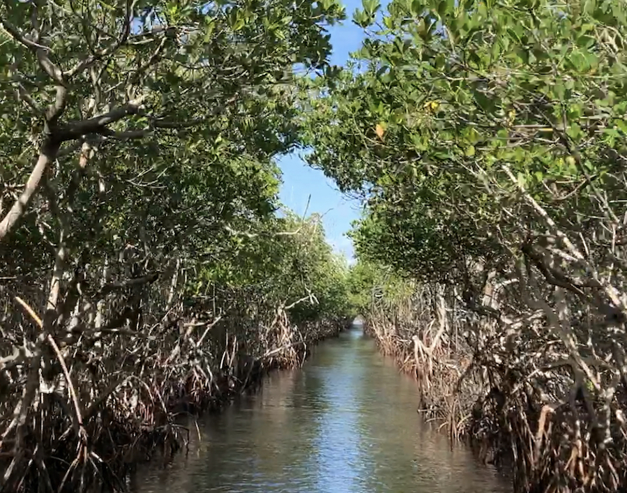 Naples, Floride