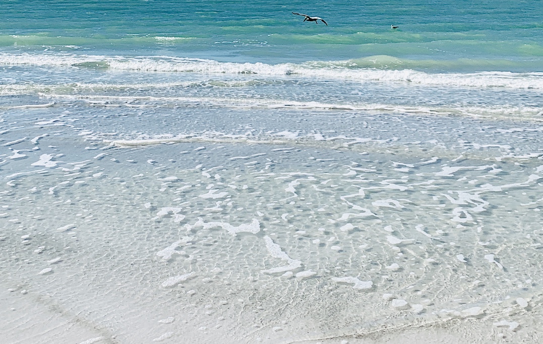 Plages et keys en Floride