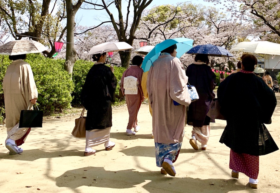 cherry blossoms et kimonos