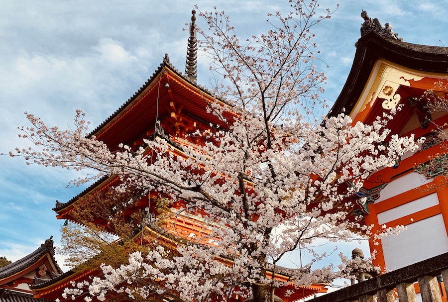 Kiypmizu Temple Kyoto