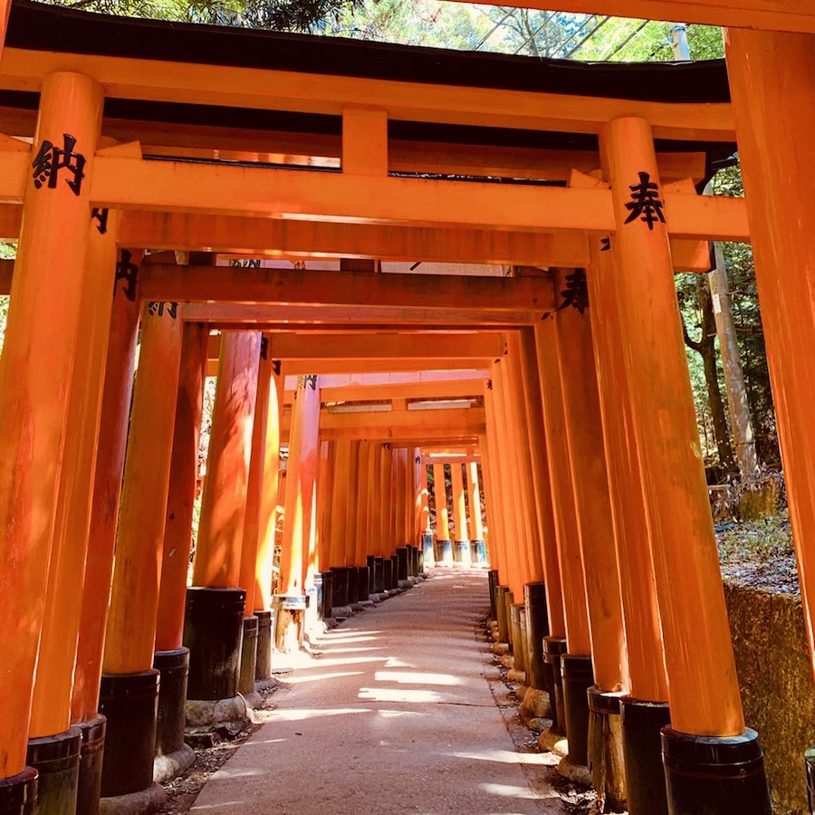 Inari Japon Torii