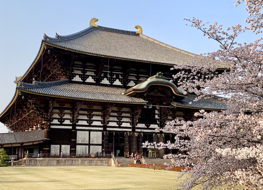 JaponTodaiji cerisiers