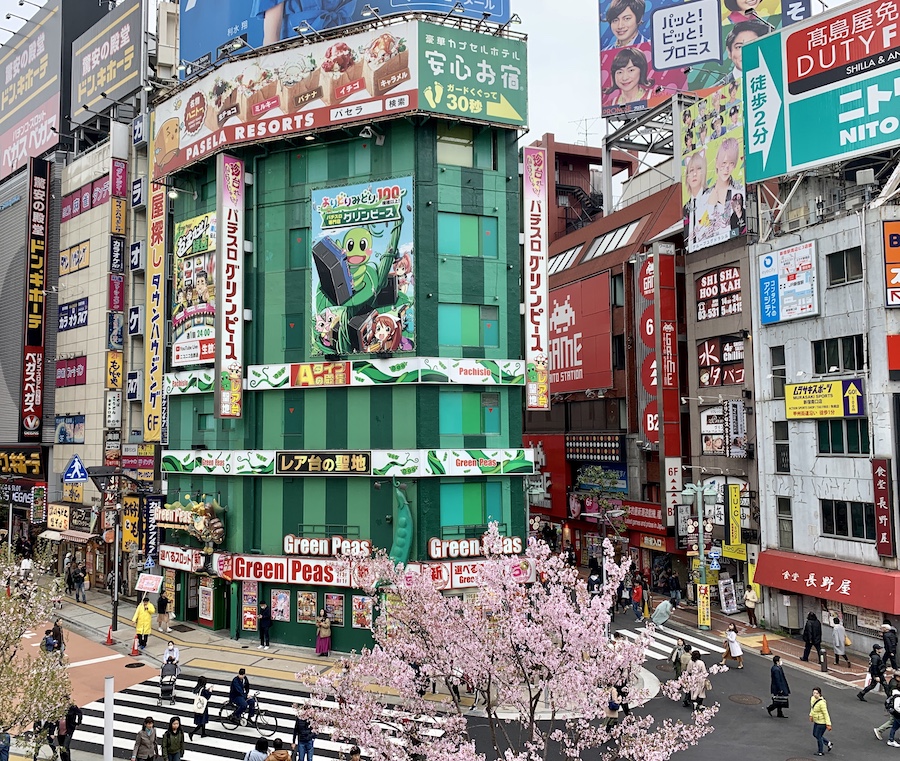 Tokyo spring Shinjuku-Ku