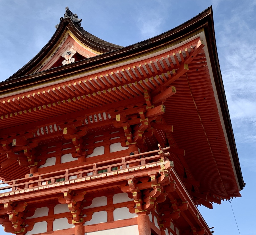 japon voyage kyoto cherryblossoms