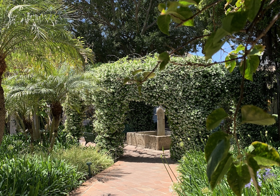 jardin patio Marbella