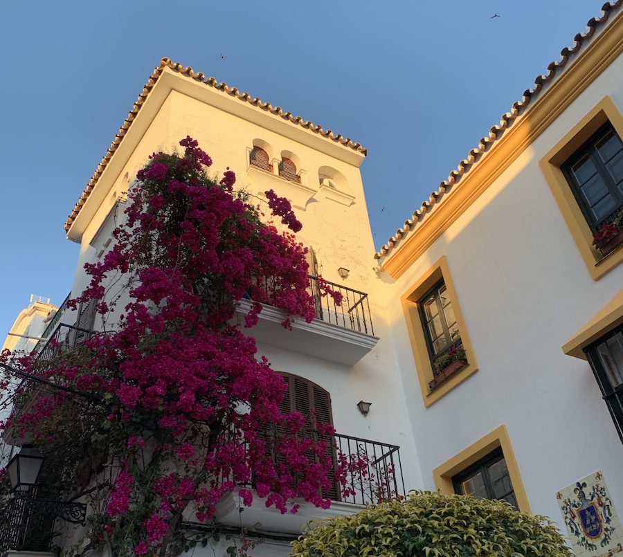 Old Marbella bougainvillée