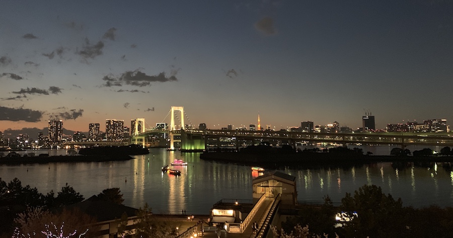 Daiba parc Tokyo night