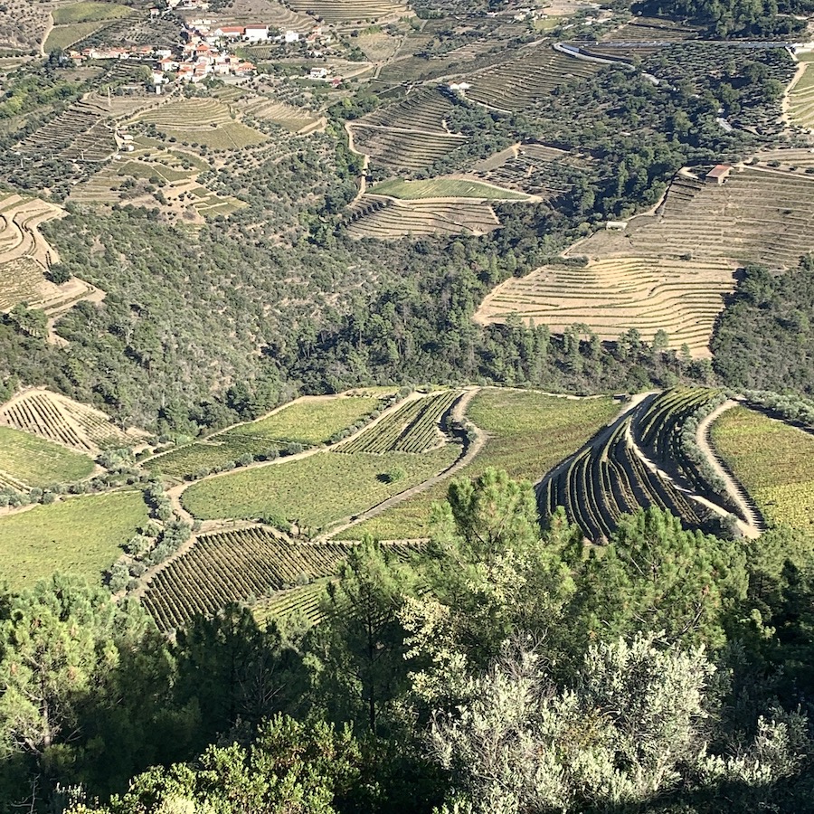 vallée du Douro coteaux vue