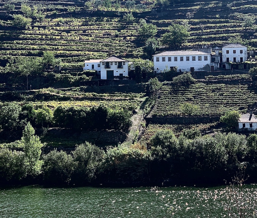 vallée du Douro …
</p>
<p>The post <a href=