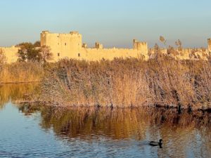 Aigues-Mortes remparts sunset