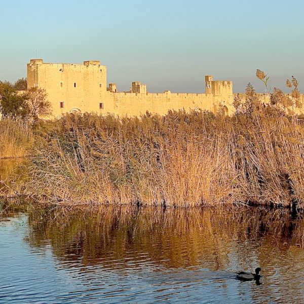 Aigues-Mortes remparts sunset