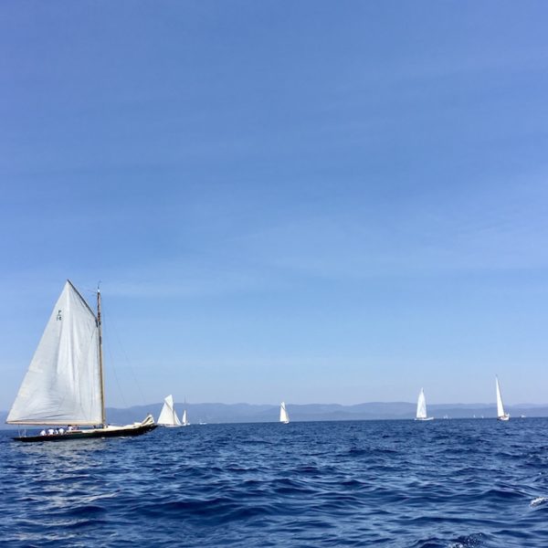 Porquerolles voile bleu au large