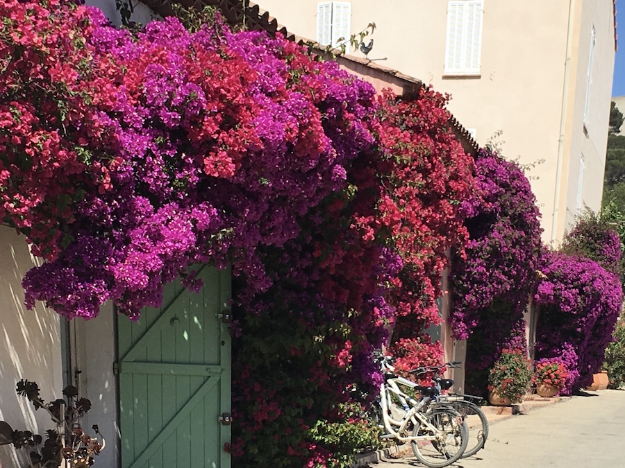 vélo Porquerolles sud France