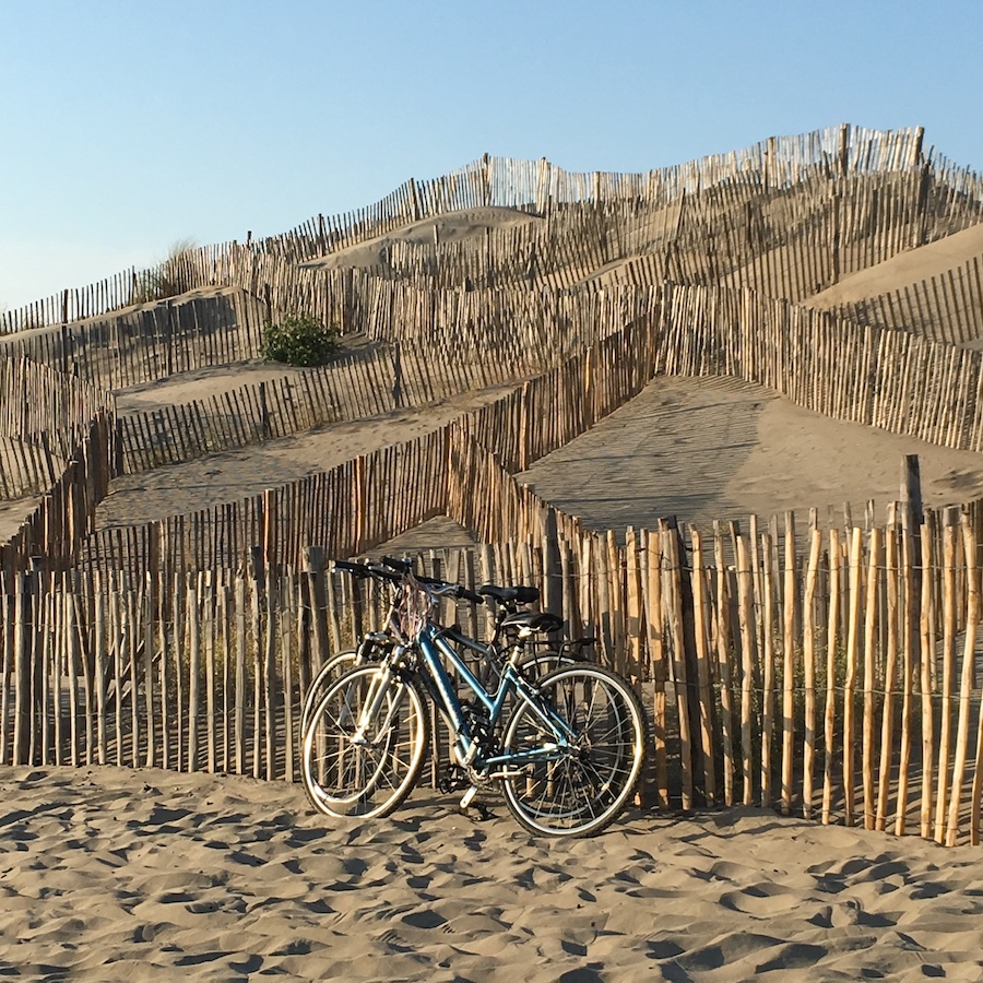 plage balade vélo Camargue