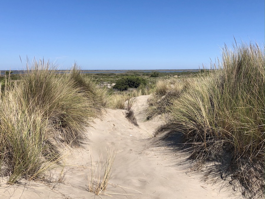 Camargue parc naturelle plage Espiguette