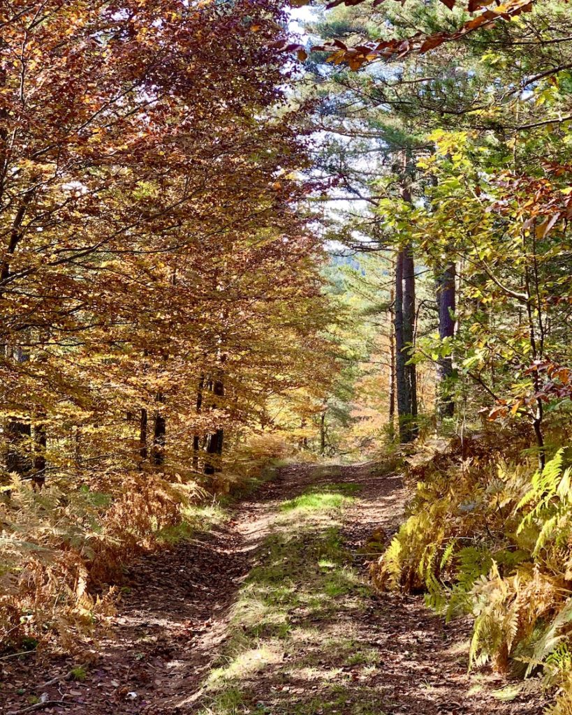 automne Chambon le Château Lozère