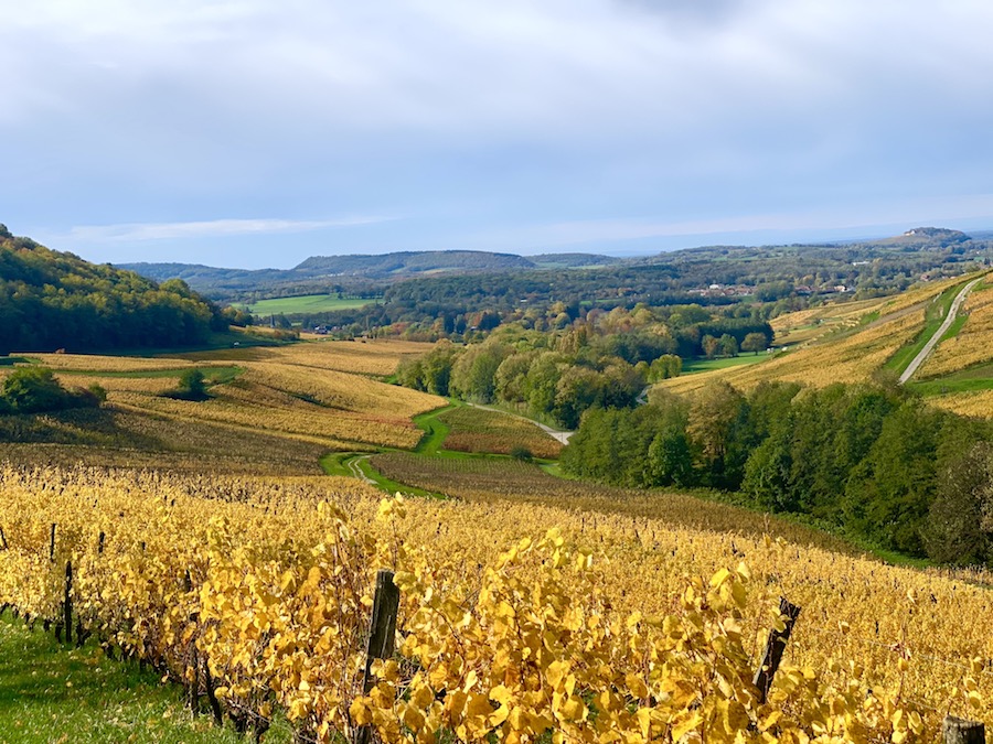 promenade jura automne Seille