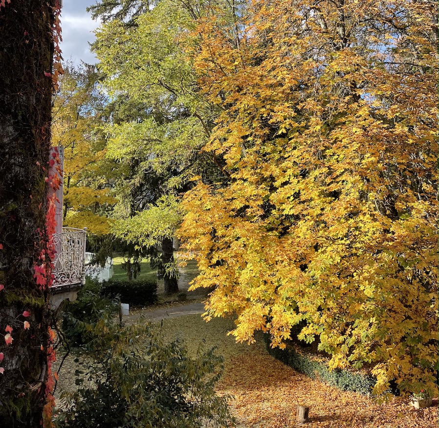 hotel vacances Toussaint France sud