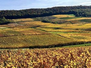 Jura vignes dorées promenade