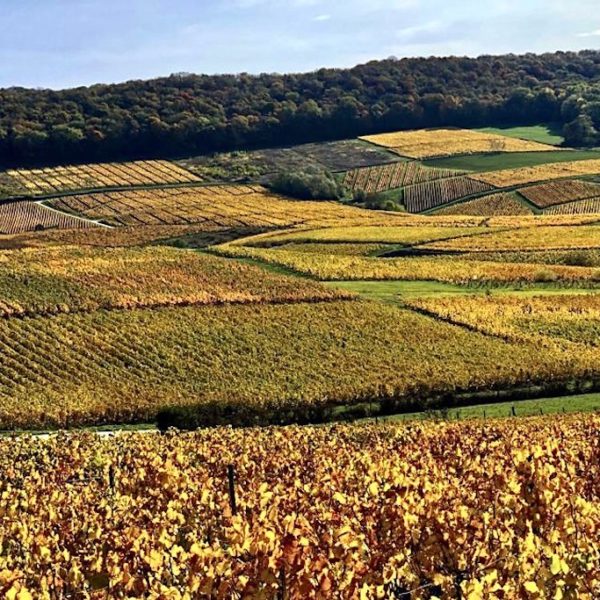 Jura vignes dorées promenade