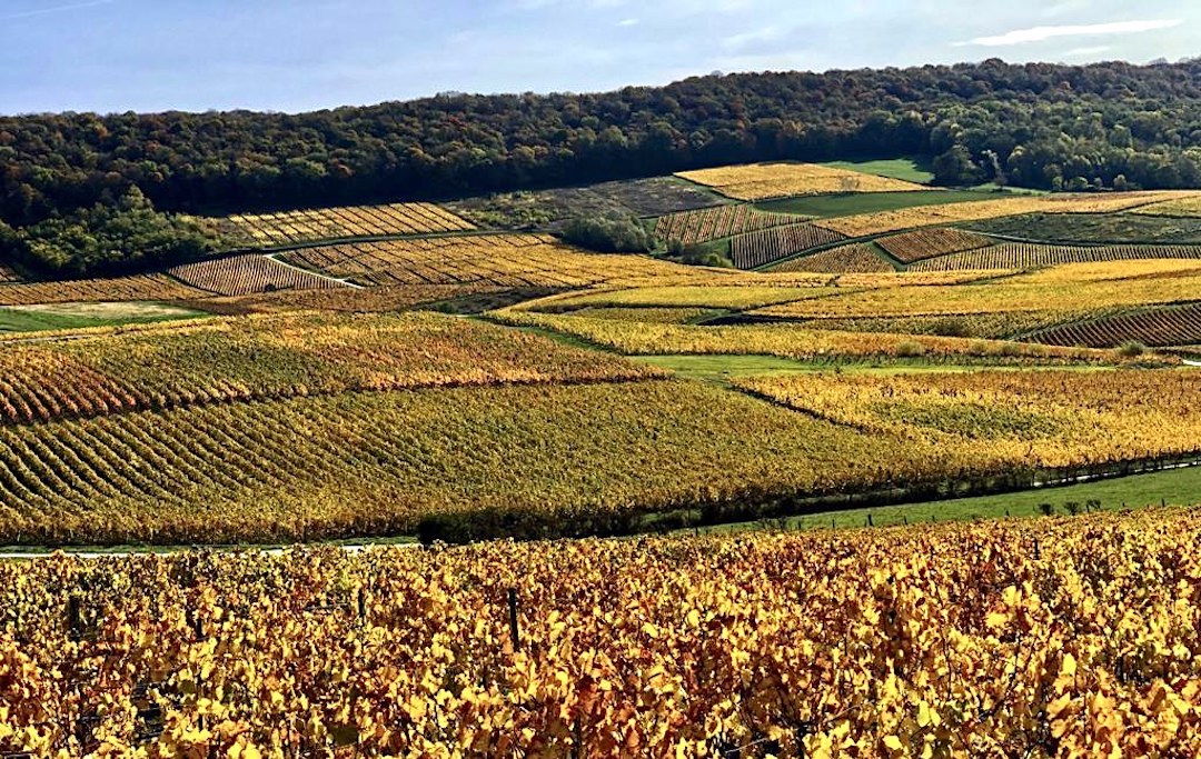 Jura vignes dorées promenade