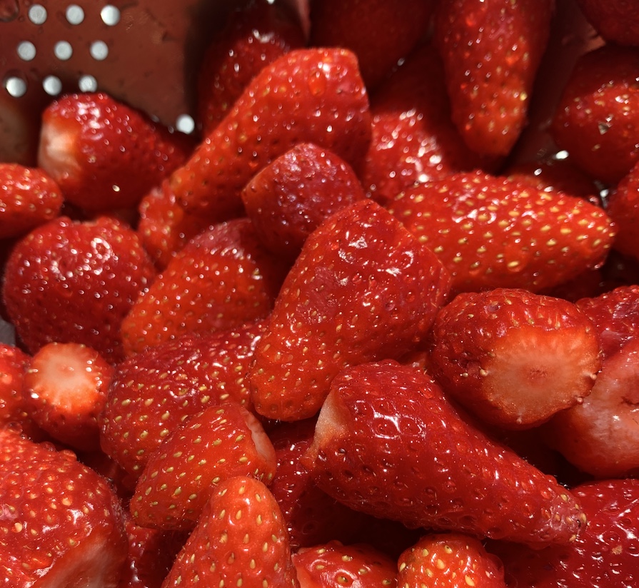 fraises au printemps food