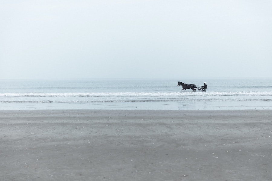 chevaux-plage-normandie