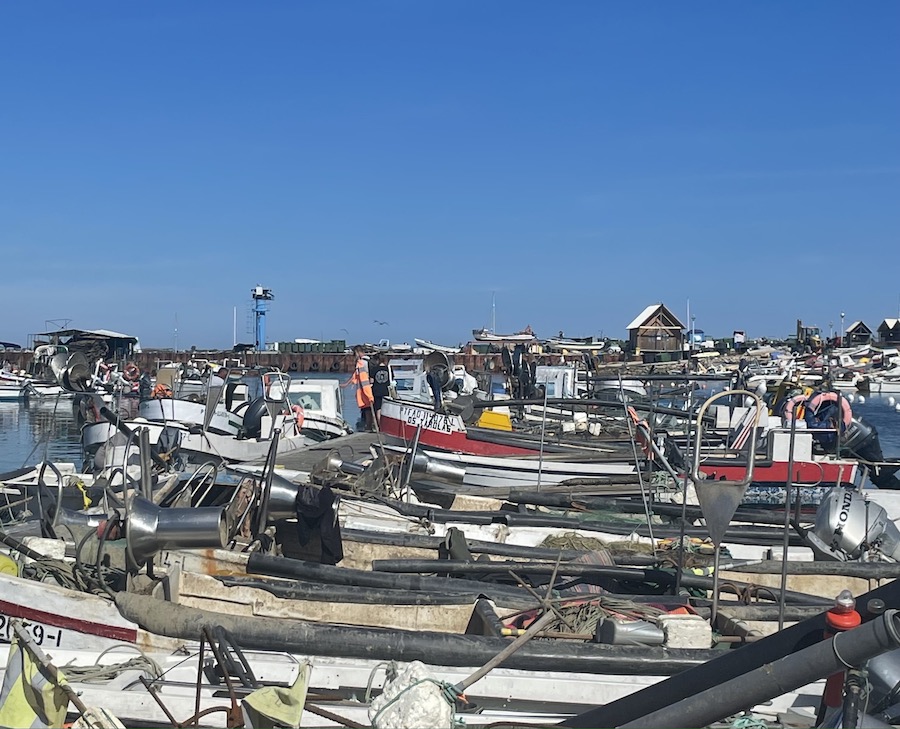 Ila Culatra Ria Formosa Algarve pêche