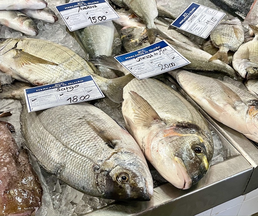 halles aux poissons Olhao daurade