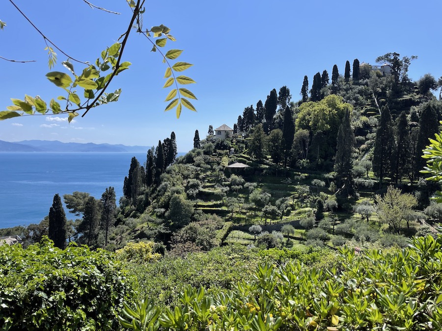 Portofino jardins cyprès blog vue