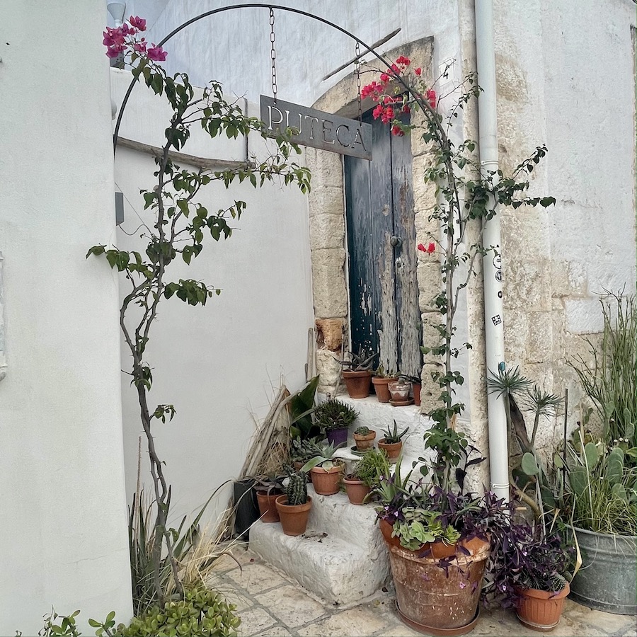 escalier plantes grasses Italie