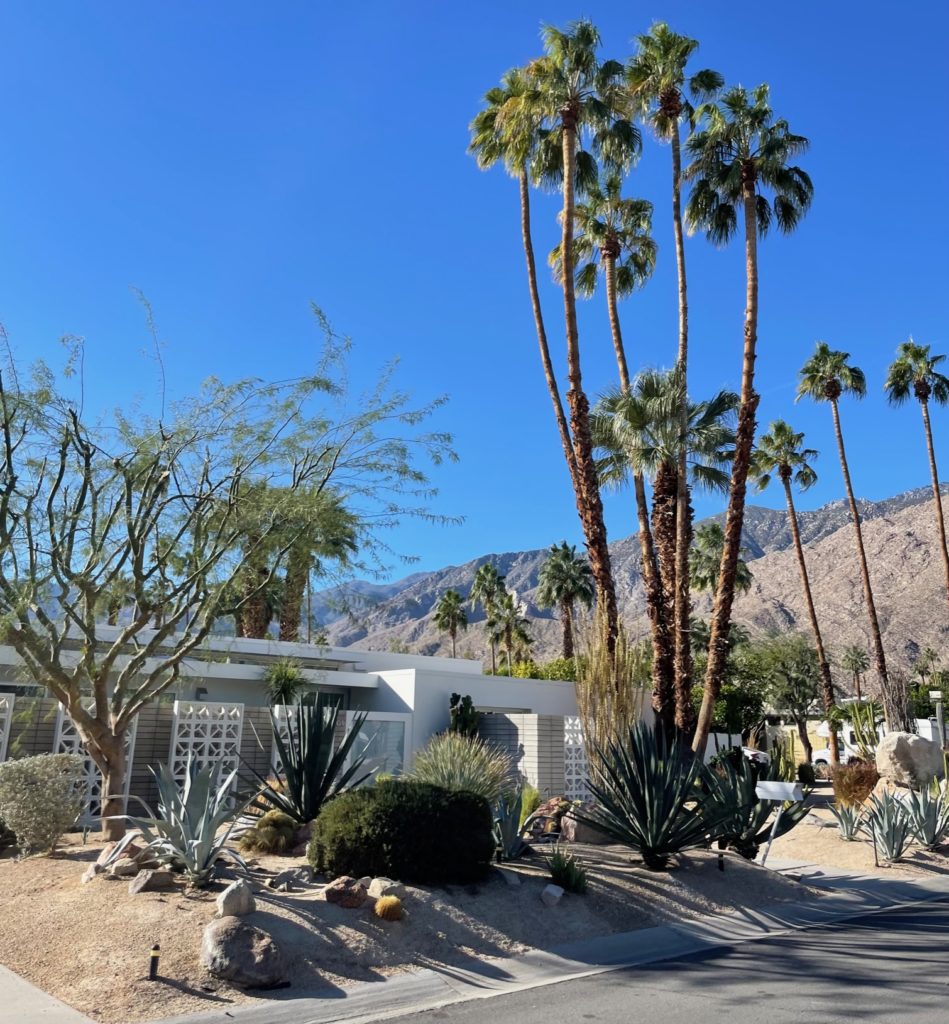 maison jardin promenade Palm Springs