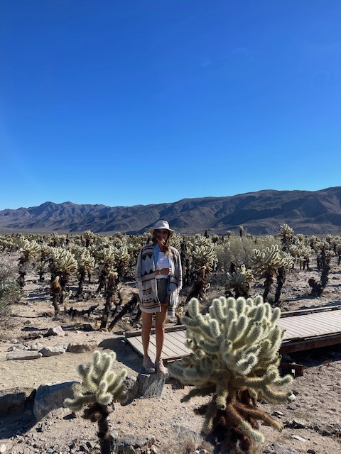 Coachella Palm Springs desert