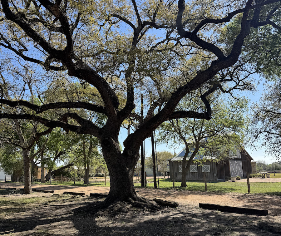 Texas Roundtop countryside travel