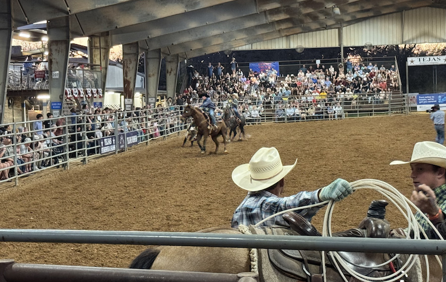 rodeo Texas