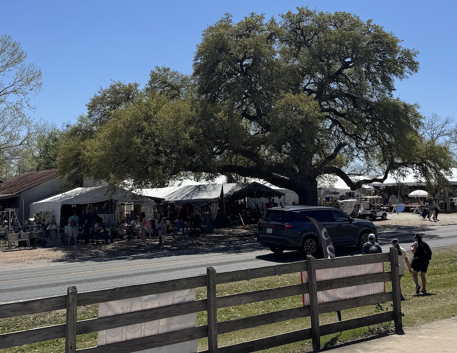 Texas Austin Roundtop voyage